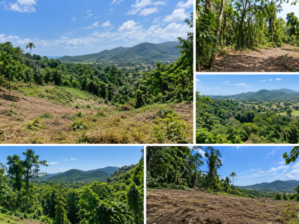Terrains à vendre à Kathu Phuket, près de Loch Palm et du Red Mountain Golf.